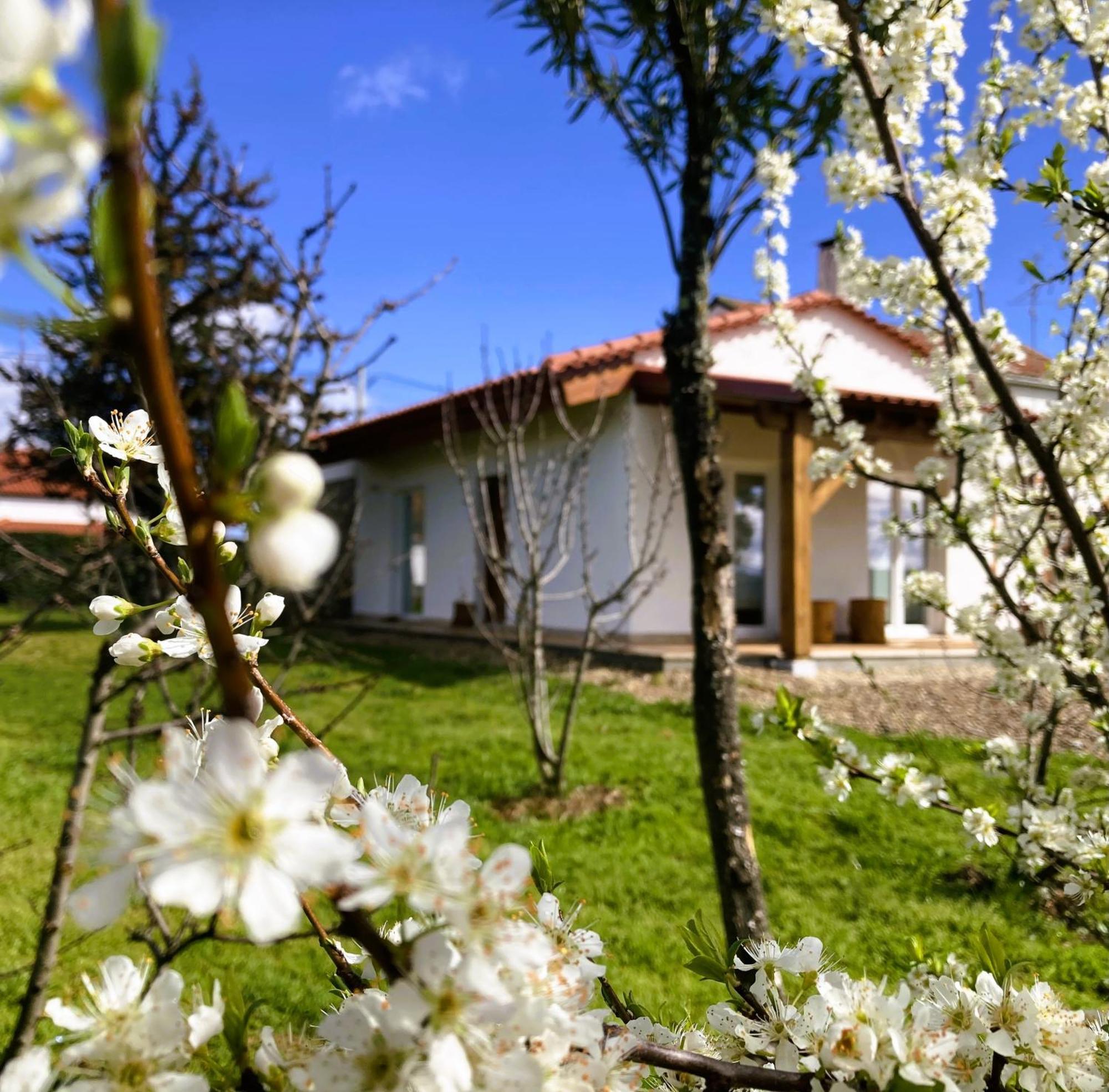 Ar Da Beira Villa เบลมอนเต ภายนอก รูปภาพ